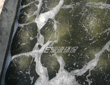 漓(li)源環(huan)保(bao)成功簽約(yue)青島(dao)水(shui)性(xing)塗料廢(fei)水(shui)處理(li)工(gong)程