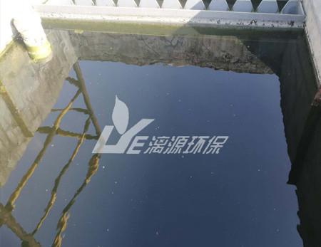 松(song)脂(zhi)加工廢水(shui)處理案(an)例