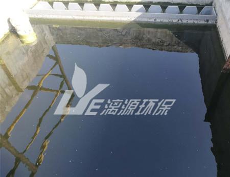 增(zeng)塑劑(ji)廢水處(chu)理講(jiang)解(jie)