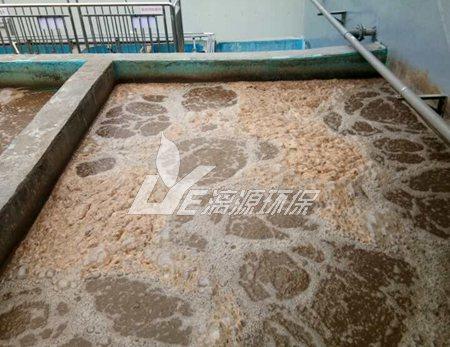 環(huan)己酮(tong)廢(fei)水(shui)生(sheng)化(hua)處理方(fang)法(fa)