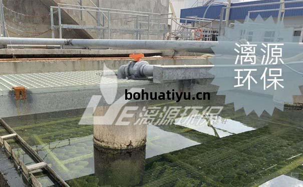 ?塗(tu)裝廢(fei)水處理(li)是目前工業(ye)上(shang)重視的問題，今(jin)天給(gei)大家(jia)分享(xiang)壹下(xia)塗裝廢(fei)水處理(li)技術(shu)工藝。廢水處理(li)壹般(ban)分三級(ji)處理(li)。壹級(ji)處理(li):機(ji)械(xie)處理(預(yu)處(chu)理(li))，二級(ji)處理(li):生化(hua)處理，三(san)級(ji)處理(li):深(shen)度(du)處(chu)理(li)。