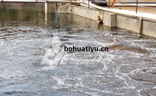 化妝(zhuang)品(pin)生(sheng)產(chan)廢水處理(li)方(fang)法