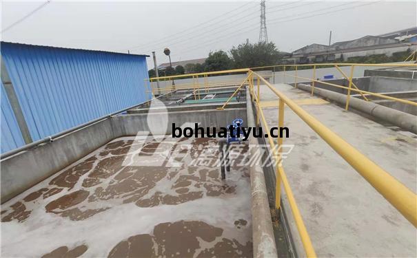 有機染(ran)料(liao)廢(fei)水處(chu)理工(gong)藝