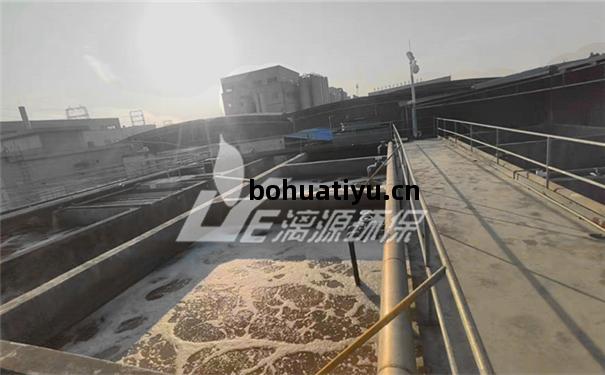 二(er)羥甲基(ji)丁酸廢(fei)水處理(li)工藝